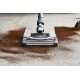 Aspirador vertical X-Force Flex 8.60 Allergy